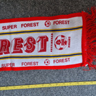 Nottingham Forest vintage fanihuivi - pikkukuva 2