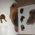 Koira - The Dog - Artist Collection - pikkukuva 2