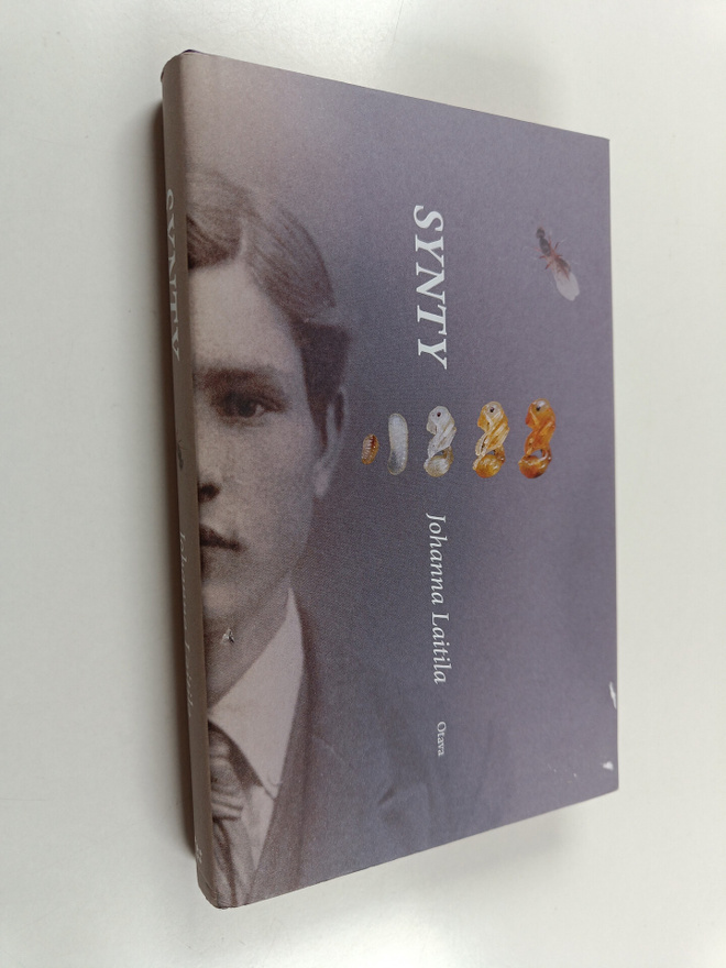 Johanna Laitila : Synty