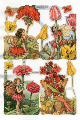 KIILTOKUVA °°KUKKAKEIJUT°°...Flower Fairies /MLP2096