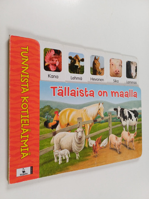 Liz Alger : Tällaista on maalla