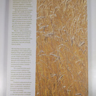 Maaseudun kulttuurimaisemat = Rural landscapes in Finland - pikkukuva 2
