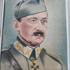 Mannerheim taulu - pikkukuva 2