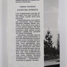 Valdemar Paavilainen : Ratsuväki hyökkää - pikkukuva 2