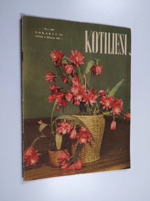 Kotiliesi 20/1952