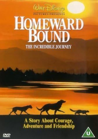 Homeward Bound - The Incredible Journey  -  DVD