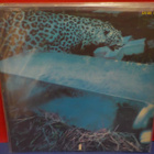 FREE - TONS OF SOBS UK -75 EX+/EX+ LP - pikkukuva 2