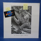 AUTUMNS RAPTURE - IN OBSCURE NIGHTS OBLIVION UUSI EU 2019 LP - pikkukuva 1