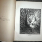 Gustave Dore : The Scripture Gallery of Illustrations - pikkukuva 3