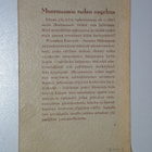 Waldemar Erfurth: Muurmannin radan ongelma (1.p 1952) - pikkukuva 2