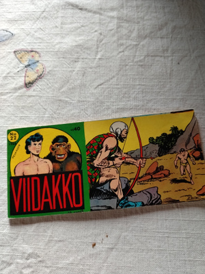 viidakko 10 vsk 22