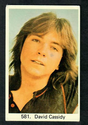 Keräilykuva - David Cassidy 581