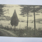 Pälkäne Tommilan kataja - 1917 - pikkukuva 1