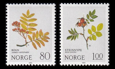 Norja 825-6 ** Kukkia (1980)