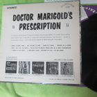 DOGTOR MARIGOLD`S PRESCRIPTION play and sing S-5159 - pikkukuva 2