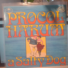 Procol Harum – A Salty Dog Vinyyli - pikkukuva 2