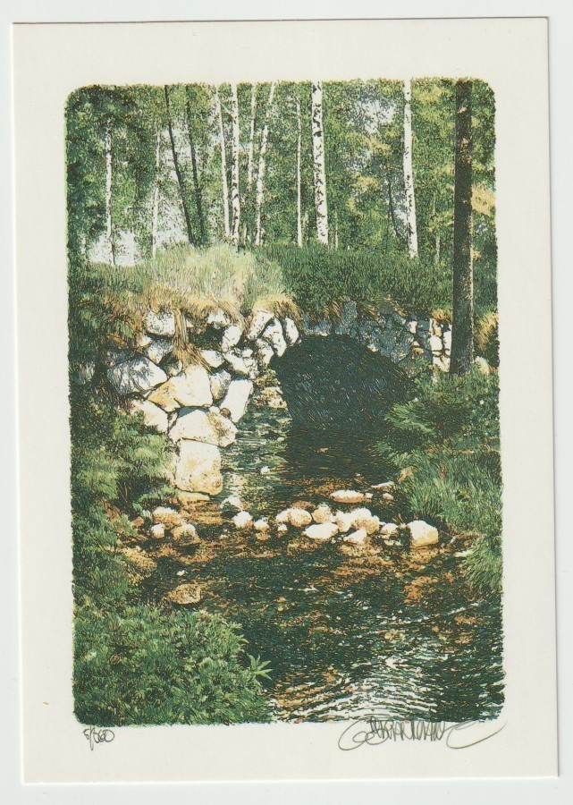 Göran Hahne : Sommarfors i gränsland