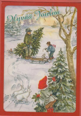 I Elf Kuusen haku