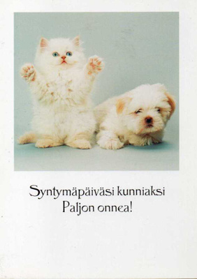 KULKEMATON ONNITTELUKORTTI - PALETTI, HALLMARK