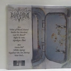 BLUTSCHREI - VOICE OF FORBIDDEN PRIDE M-/M- LP - pikkukuva 2