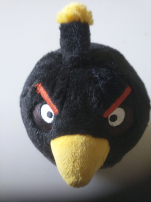 Angry bird's