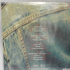 THE DANDY WARHOLS - THIRTEEN TALES FROM URBAN BOHEMIAN 2LP - pikkukuva 2