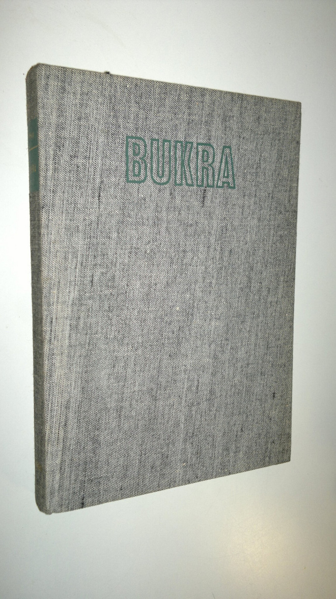 Tuomo Keko : Bukra : näkymiä Lähi-idästä