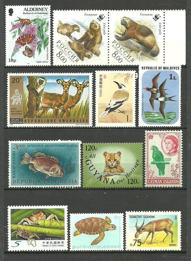 ELÄIMET eläinaihetta levyllinen postituoreita **