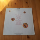 Wild Swans – Space Flower lp orig 1990 Indie Rock - pikkukuva 2