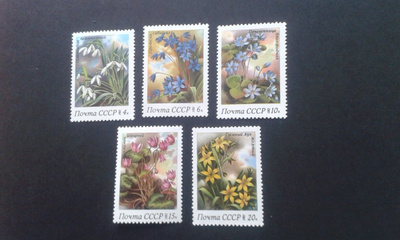 cccp 1983 kukkia**