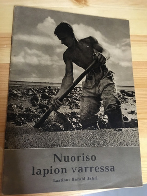 Nuoriso lapion varressa