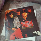 Skädäm - Mustat Joutsenet LP + 7" & Promojuliste - pikkukuva 1