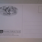 KULKEMATON TIKRU TIIKERI PANINI FRIENCHIP COLLCTOR CARDS 54 - pikkukuva 2