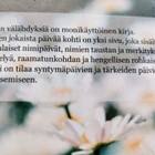 Päivän välähdyksiä nimi- ja syntymäpäiväkirja - pikkukuva 2
