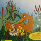Ruma Ankanpoikanen - DVD - pikkukuva 2