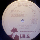 THE ALARM :: EYE OF THE HURRICANE :: VINYYLI LP 1987 - pikkukuva 4