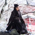 The Assassin DVD - pikkukuva 3