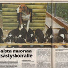 Metsästäjä n:o 2 1990 Metsästyskoira. Susi. Eräkuvaaja. - pikkukuva 3