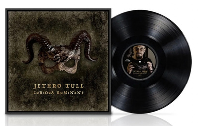JETHRO TULL : Curious Ruminant - LP, uusi