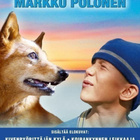 Komediaklassikot - Markku Pölönen (4xDVD) - pikkukuva 1