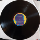 Ketil Bjørnstad – Aniara vinyyli LP - pikkukuva 4