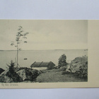 Oravainen - 1906 - pikkukuva 1