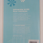 Hepuli ja Sipuli : kasvukipulääkkeitä & ilopillereitä - pikkukuva 2
