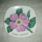Arabia Botanica Koiranruusu Tomula - pikkukuva 1