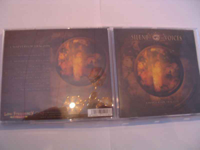 SILENT VOICES-CHAPTERS OF TRAGEDY