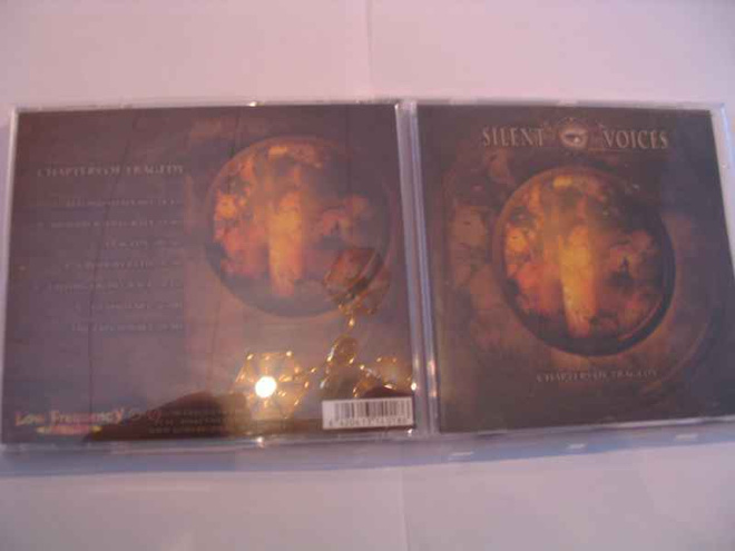 SILENT VOICES-CHAPTERS OF TRAGEDY