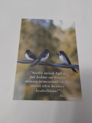 Siellä missä kaksi tai... pääskyset