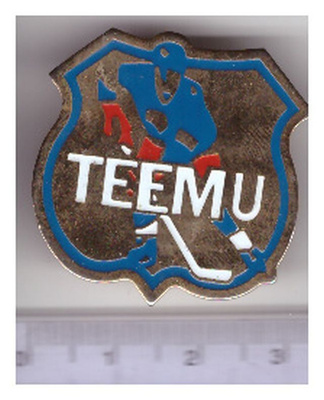 TEEMU Pinssi