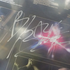 BLAZE BAYLEY - ENDURE AND SURVIVE LP INNER SLEEVE NIMMARILLA - pikkukuva 2
