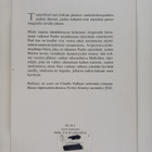 Claudie Gallay : Rakkaus on saari - pikkukuva 2